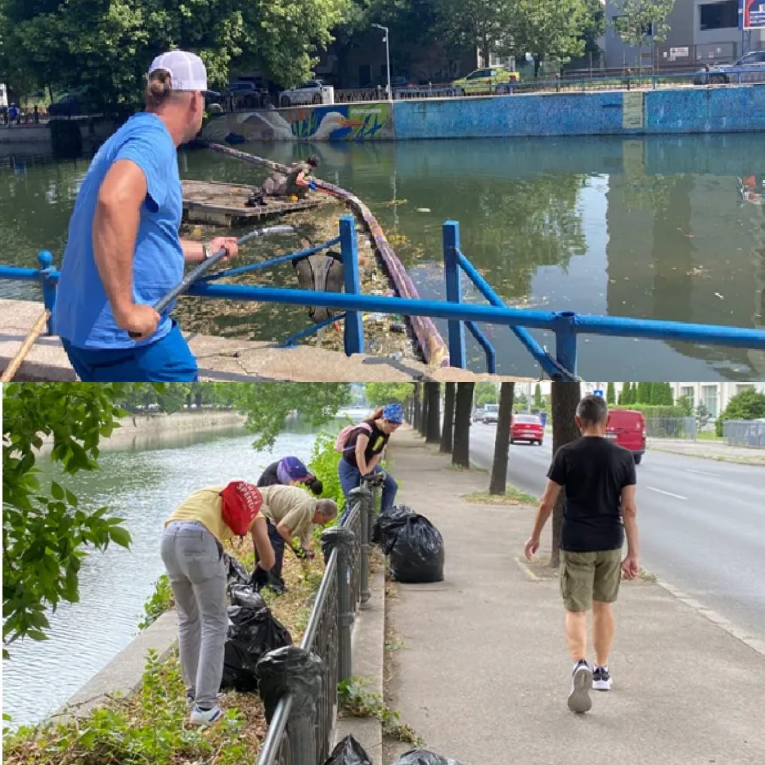 Dâmbovița voluntari