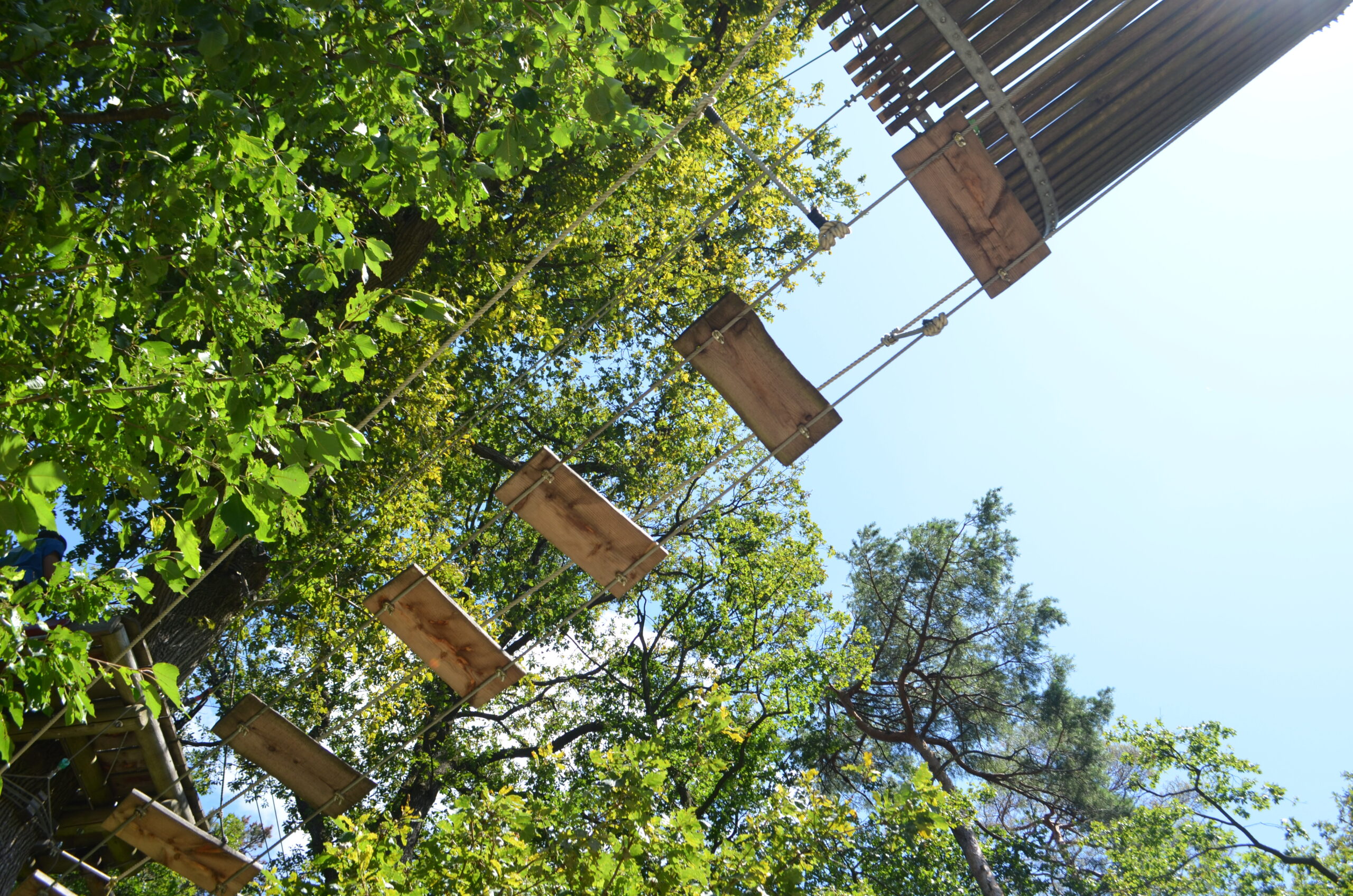 Pariul pe centura verde