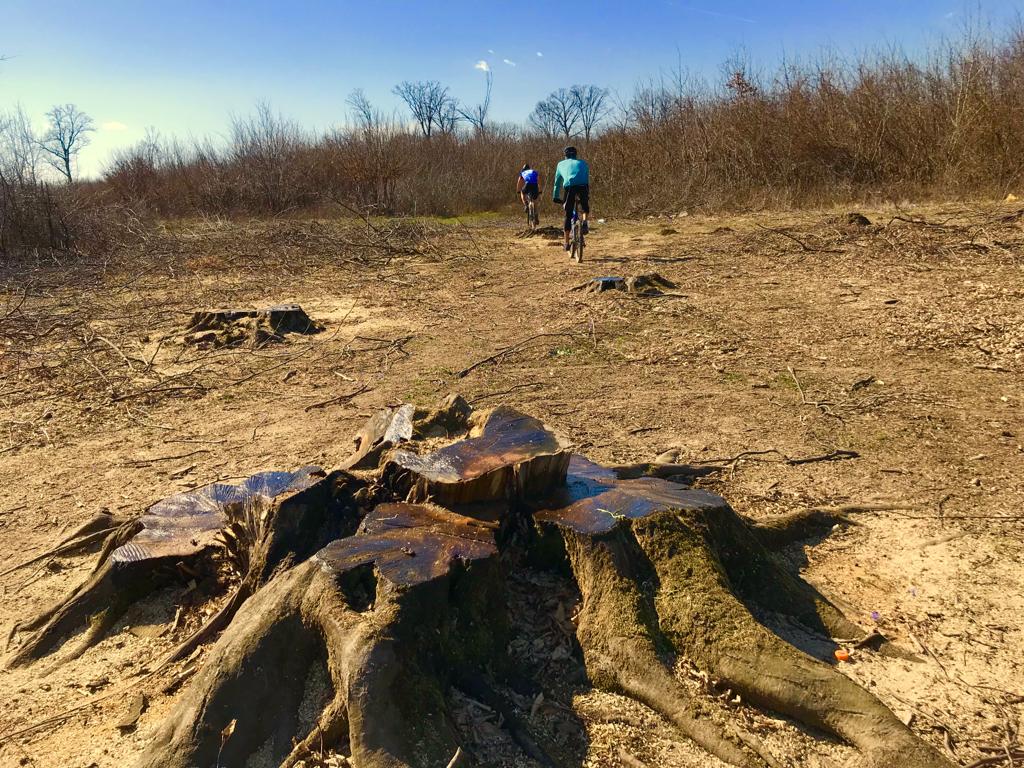 Pariul pe centura verde
