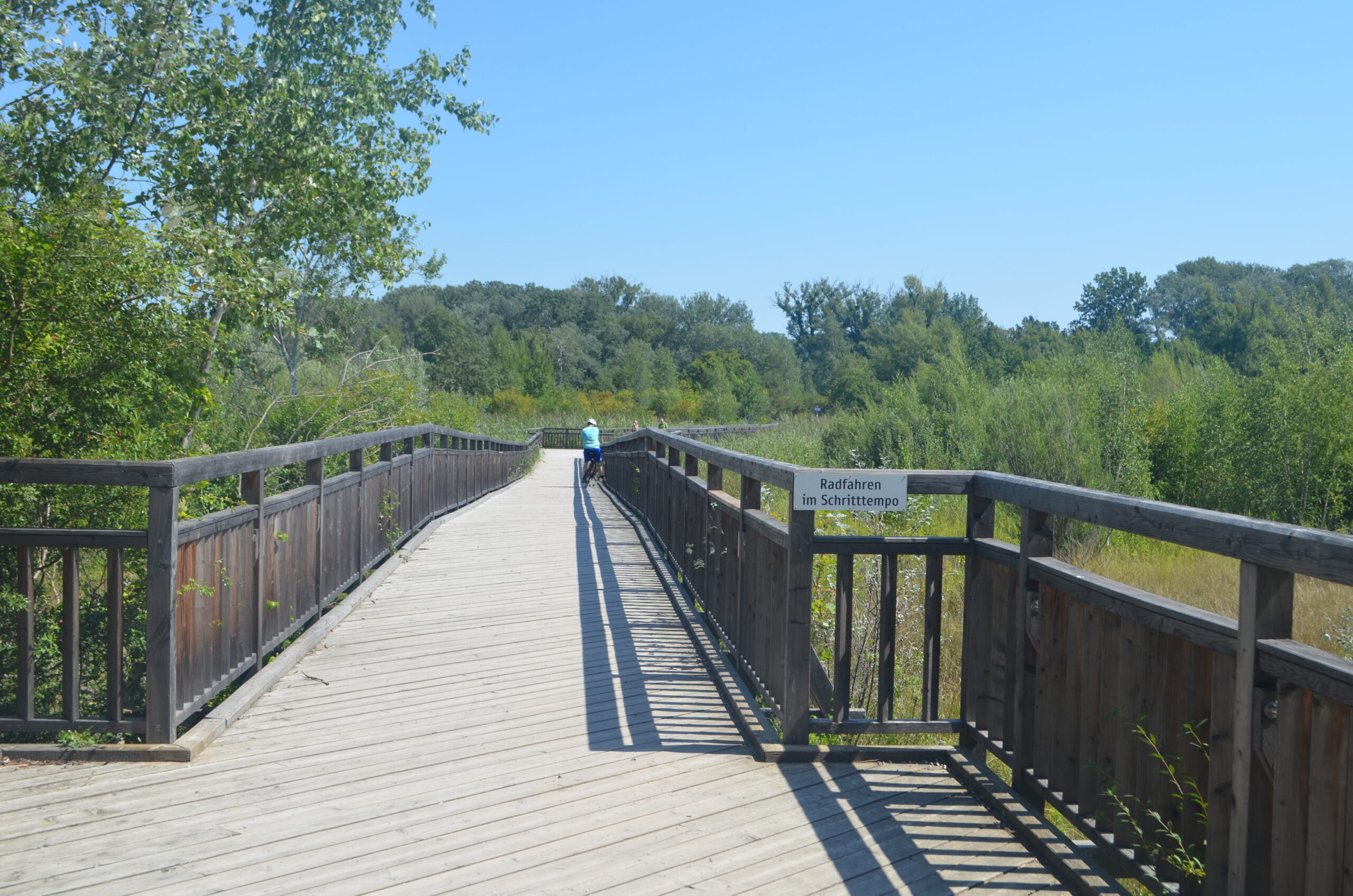Pariul pe centura verde