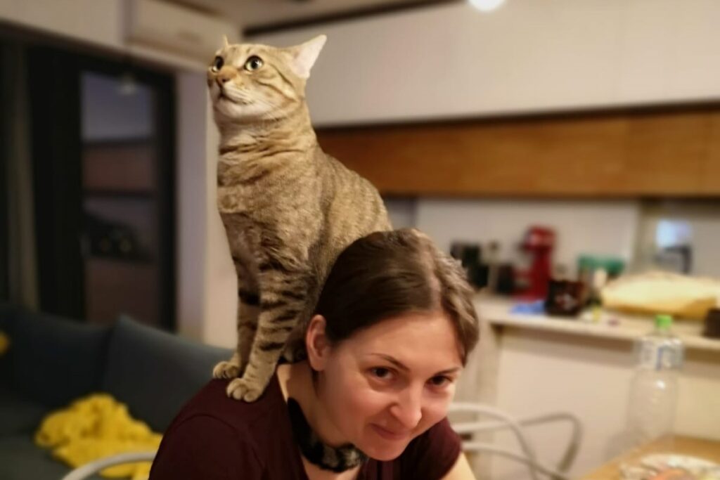 animale pisici caini