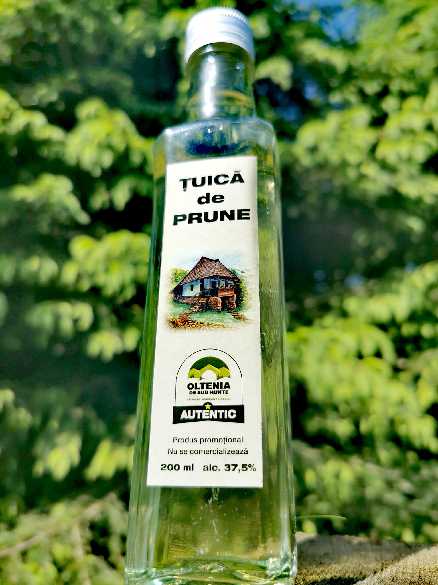 geoparc valcea unesco oltenia de sub munte