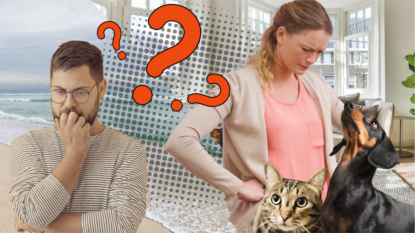 house sitting calatorii