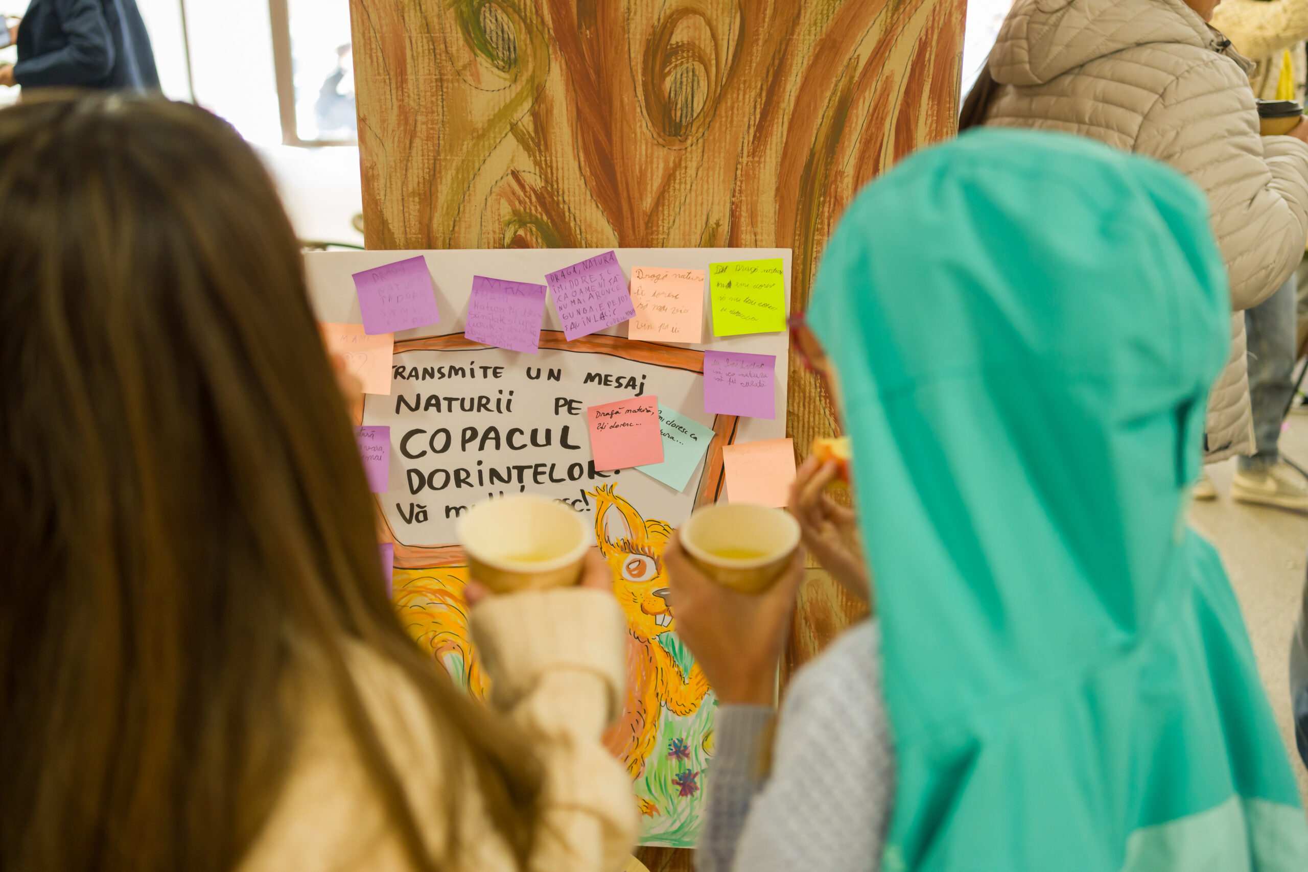 festival culmea brasov