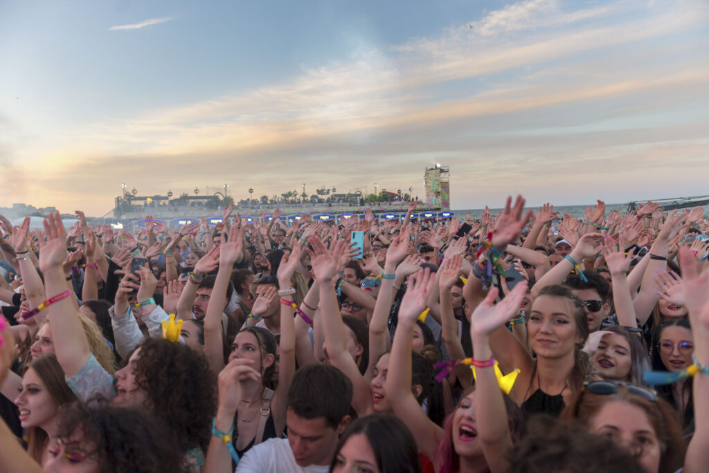 tineri progresist partid alegeri