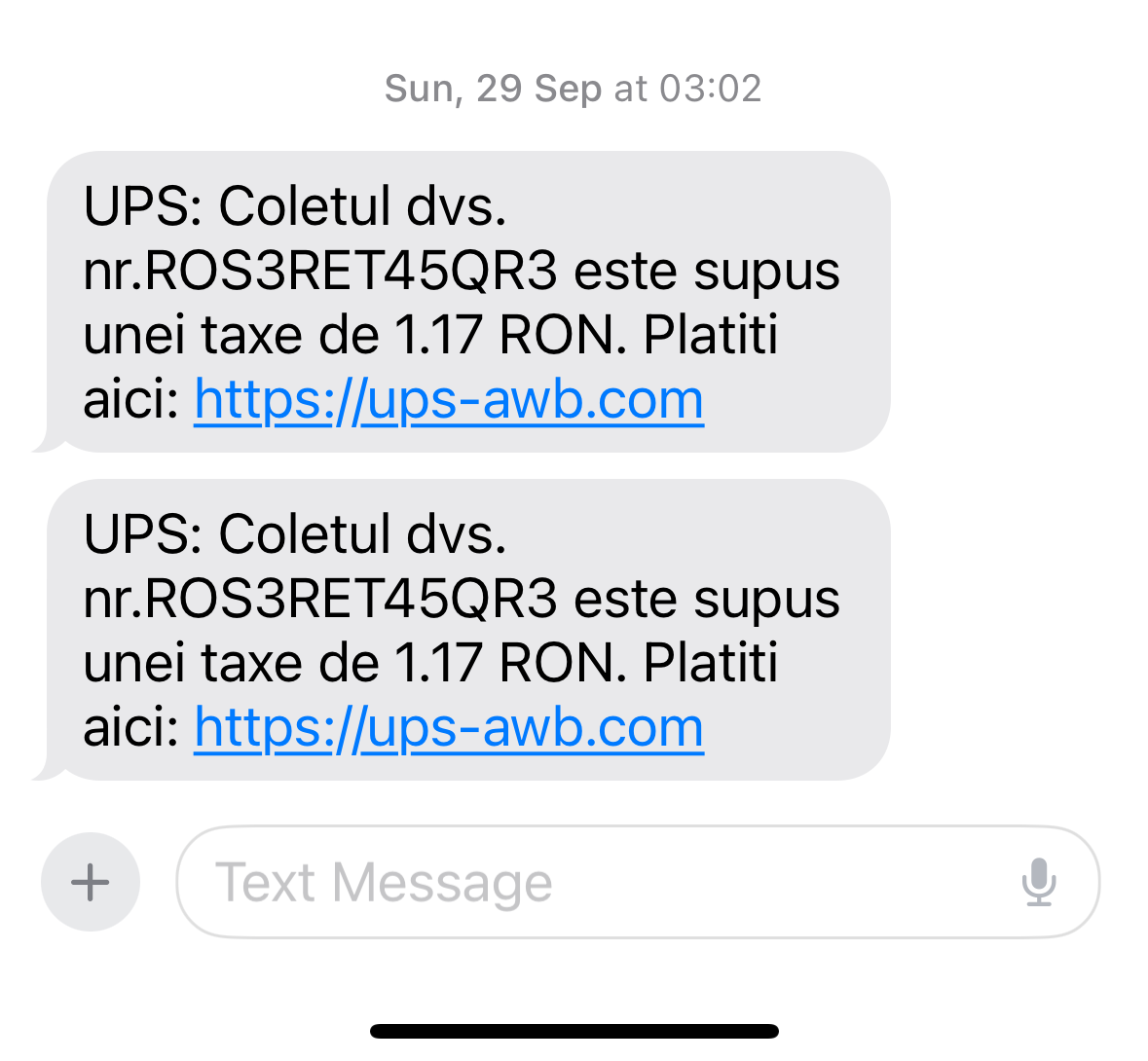 smishing phishing frauda internet
